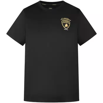 Футболка унисекс Automobili Lamborghini, черный