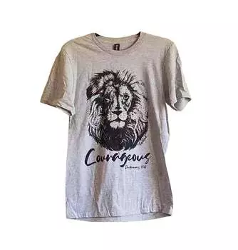 Футболка унисекс Courageous Lion серого цвета Fox and Owl
