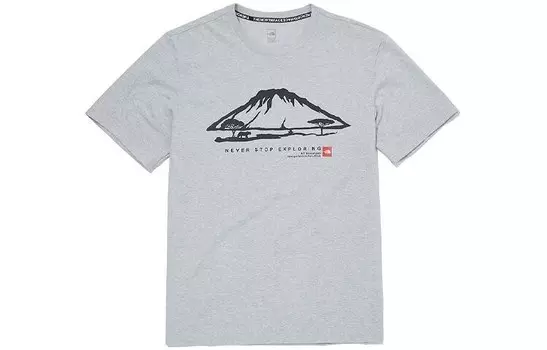 Футболка унисекс серая The North Face, серый