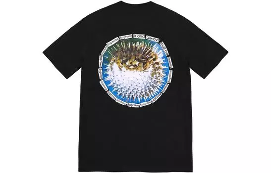 Футболка унисекс Supreme, Светлая Сосна