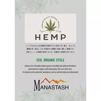 Футболка Vent мужская Manastash, мятный