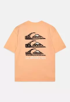 Футболка VERTICAL LOGOS YOUTH Quiksilver, розовый