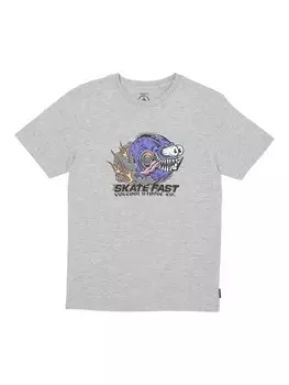 Футболка Volcom Skate Fast, серый