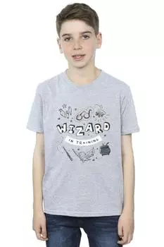 Футболка «Волшебник на тренировке» Harry Potter, серый