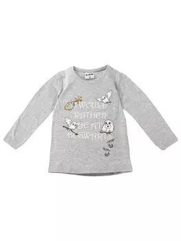 Футболка Warner Bros, серый