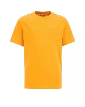 Футболка WE Fashion, цвет Curry