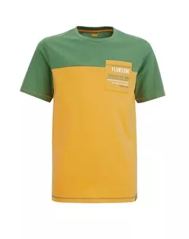 Футболка WE Fashion, горчичный/зеленый