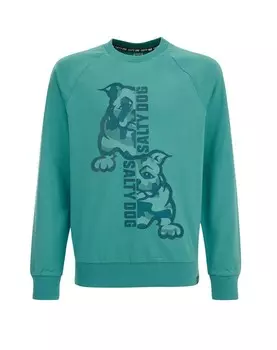 Футболка WE Fashion, петроль/изумруд/темно-зеленый