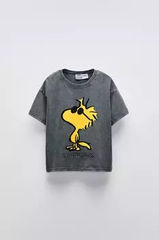 Футболка woodstock со стразами ZARA, антрацитово-серый