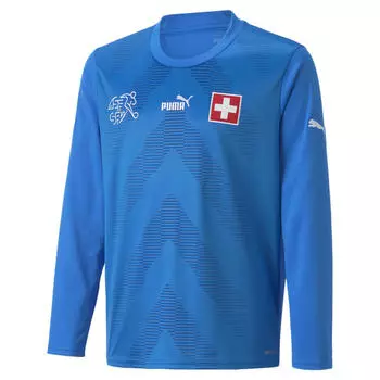 Футболка вратаря с длинным рукавом Суонси 2022/23 JOMA, желтый