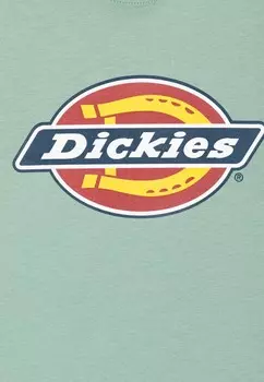 Футболка YOUTH LOGO TEE UNISEX Dickies, бирюзовый
