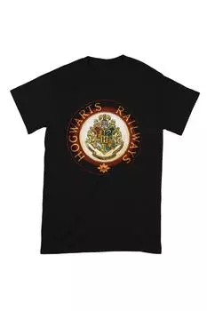 Футболка «Железнодорожный круг Хогвартса» Harry Potter, черный