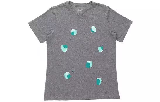 Футболка женская Arcteryx