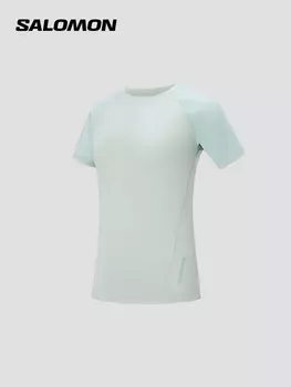 Футболка женская Salomon Outline для пешего туризма и альпинизма, красно-коричневый