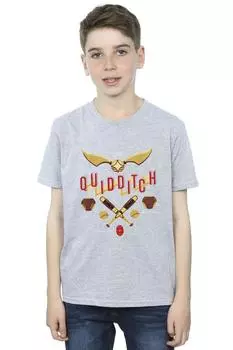 Футболка «Золотой снитч» для квиддича Harry Potter, серый