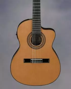 GA5TCE Thinline Классическая акустико-электрическая акустика Ibanez GA5TCE Thinline Classical -Ele