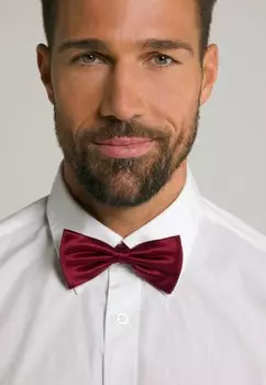 Галстук-бабочка JP1880, бордовый