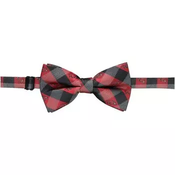 Галстук Eagles Wings Arkansas Razorbacks