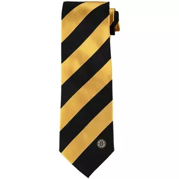 Галстук Eagles Wings Boston Bruins