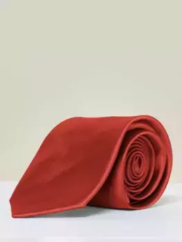 Галстук Rewritten Satin, цвет burnt/orange