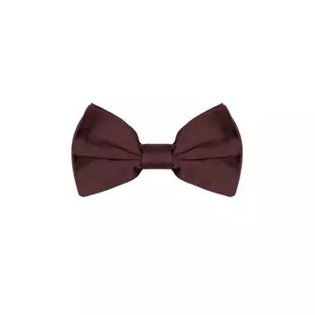 Галстуки и бабочки цвета бордо Dolce & Gabbana
