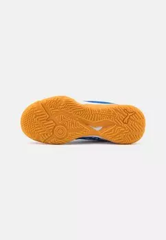 Гандбольные кроссовки Solarflash Iii Jr Unisex Puma, Team Royal/белый
