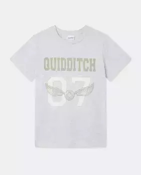 Гарри Поттер Квиддич пижамная рубашка для мальчиков Cotton Juice, серый