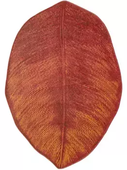 Гейне домашний ковер Heine home 120х180 см, цвет terra