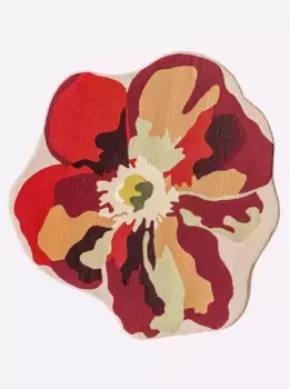 Гейне домашний ковер Heine home 150х160 см, цвет terracotta-bunt