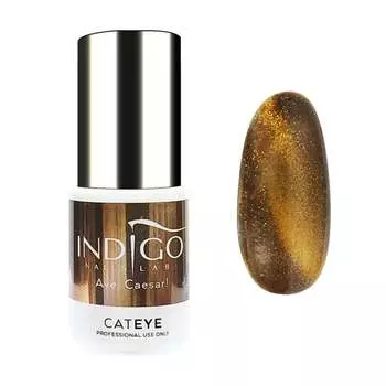 Гель для ногтей Indigo Cat Eye Ave Caesar 5 мл