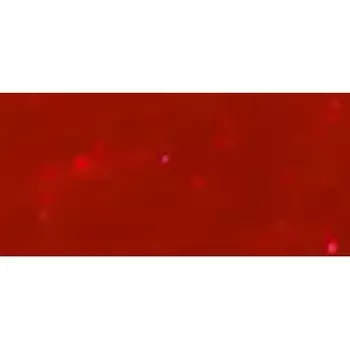 Гель-лак для ногтей Opi Gelcolor 15 мл