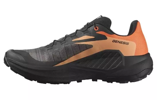 Генезис «Огонь Дракона» Salomon