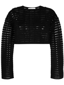 Genny прозрачный топ с длинными рукавами, черный