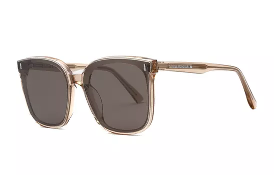 GENTLE MONSTER Солнцезащитные очки неправильной формы с пластиной и металлом, унисекс, коричневые