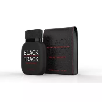 Georges Mezotti Black Track EDT 100мл
