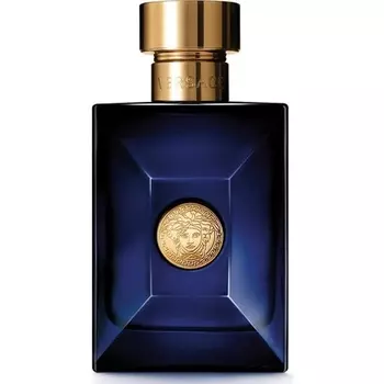 Gianni Versace Pour Homme Dylan Blue Туалетная вода-спрей для мужчин