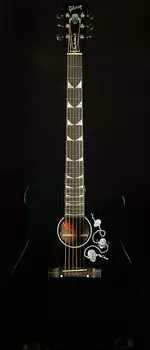 Гибсон Дэйв Мастейн, автор песен Gibson Songwriter