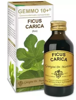Giorgini Gemmo 10+ Безалкогольный Инжир 100 мл Подходит также для детей Dr. Giorgini