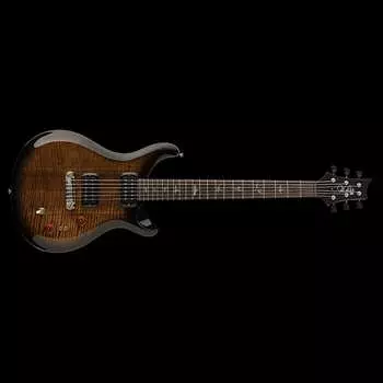 Гитара PRS Paul Reed Smith SE Paul's, гриф из палисандра, взрыв черного золота 103495::BG: