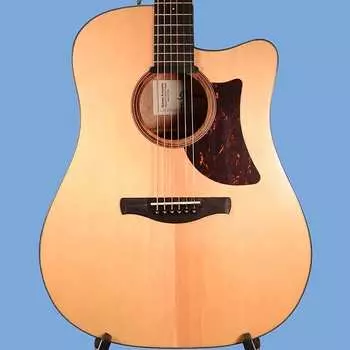 Гитара серии Advanced Acoustic AAD170CE Ibanez AAD170CELGS