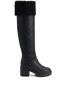 Giuseppe Zanotti сапоги Iwona 70, черный