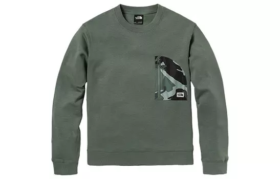 Год Дракона Ограниченная серия Толстовка Мужская Зеленый The North Face, зеленый