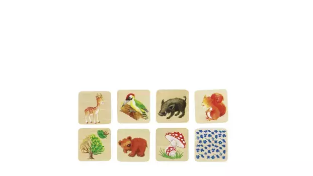 Goki Игра memo forest life