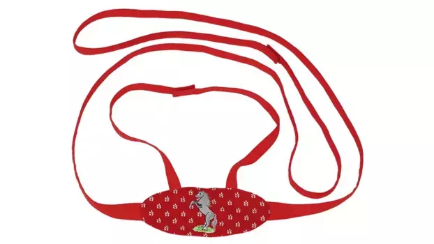 Goki Поводок с вышивкой