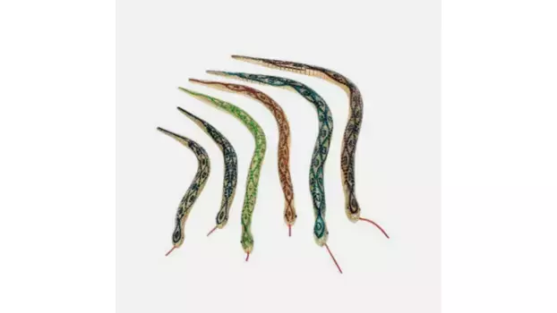 Goki Змея с конечностями