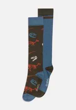 Гольфы KIDS DINO 2 PACK Ewers, цвет tinte