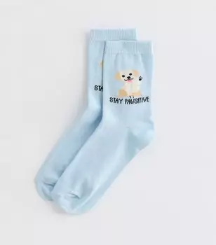 Голубые носки-tube Stay Pawsitive New Look, бледно-голубой