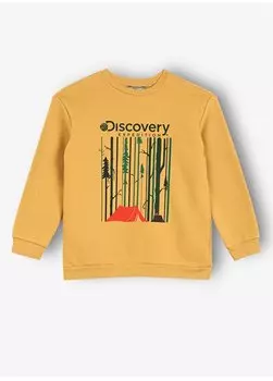 Горчичный свитшот для мальчика с принтом D3WB-SWT37 Discovery Expedition