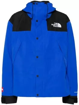 Горная куртка North Face Dryvent-Mono The North Face, синий