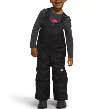 Горнолыжные брюки The North Face Freedom Insulated, черный